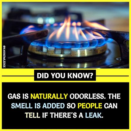 Did you know