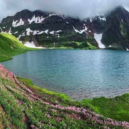 Beautiful Nature image