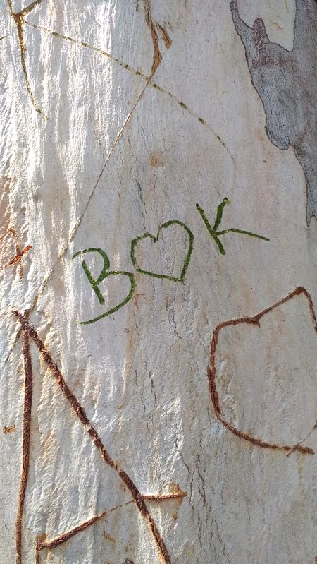 B❤k... 😍🙈