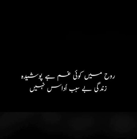 🍁Zoq_Shab🍁