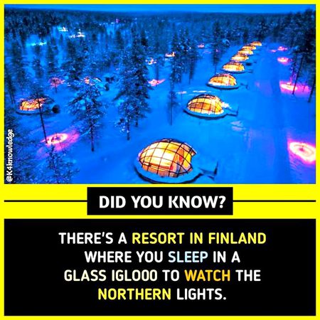 Did you Know