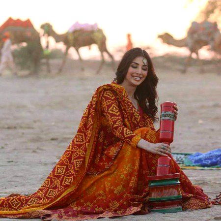 Pakistani Celebs image