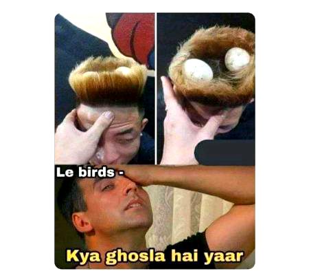 Ops laughed sach main birds dekh kr aese hi kehte honge kia ghosla hai laughed too ..ajeeb hair designs hain yahan