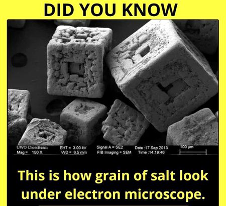 Did you Know