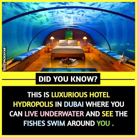 Did you Know