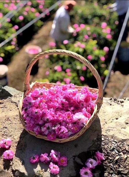 😊😇Aslama-o-Alakum 💞💕