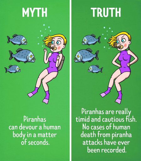 Did you Know