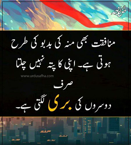 🍁🍁منافقت🍁🍁