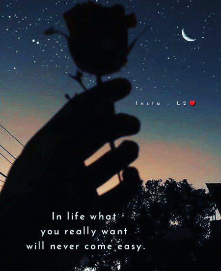 Life Advice image