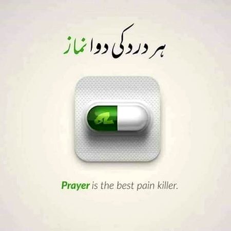 Beshak Beshak💕💕💕💕