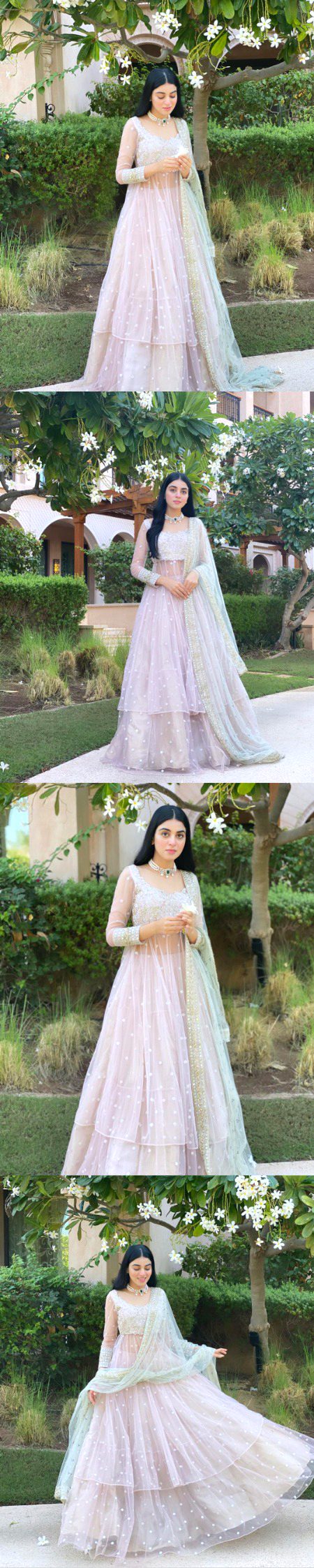 Pakistani Celebs image