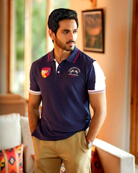 Pakistani Celebs image