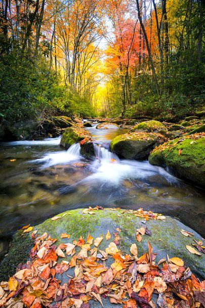Silky autumn stream in the smokies