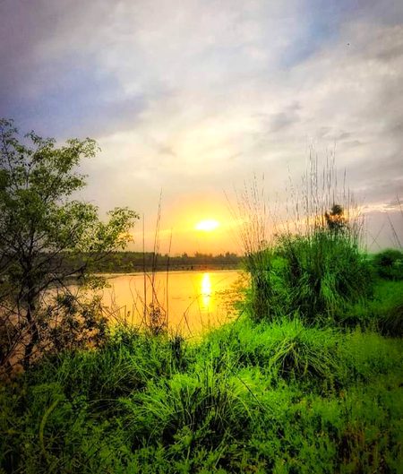 Nature of larkana sindh
