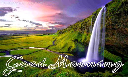 Have a nice day 💞