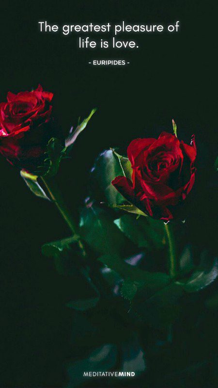 This is so true at all