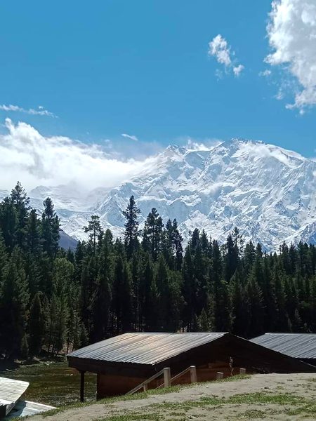 Beautiful Nature image