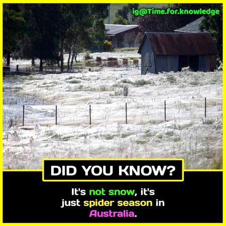 Did you Know