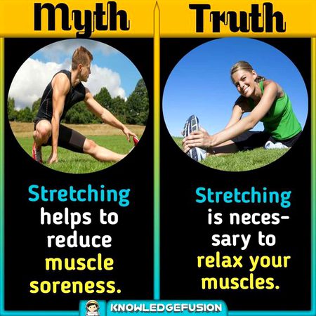 Did you Know