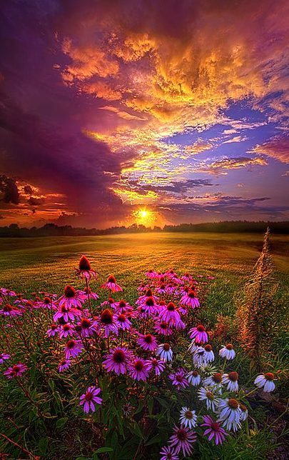 Beautiful Nature image