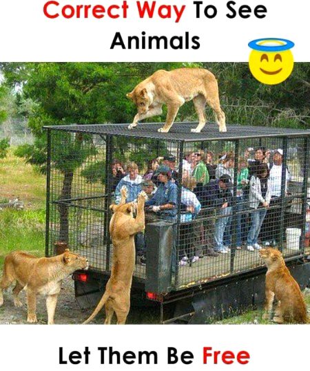 yup on ka b haq hai