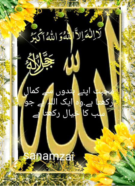 Islamic Quotes image