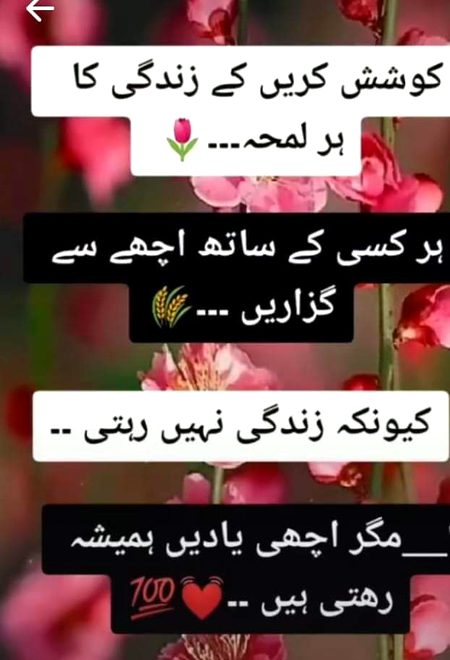 Right👉👌👌👌