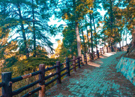 I love fake people provided they are mannequins.🌚