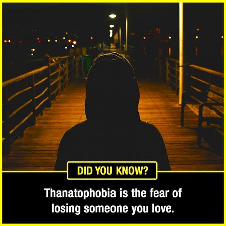 Did You Know