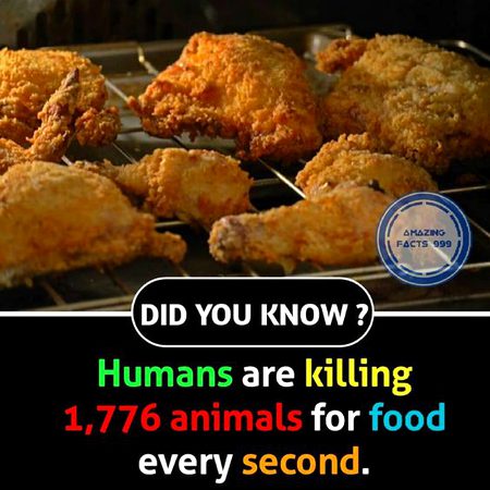 Did you Know