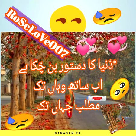 💞🥺💕💞🥺RoSe💕💞🥺💕