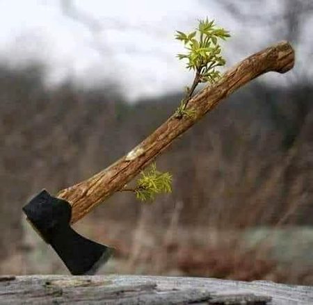 لاکھ کا ٹا ہے تیری یاد کو جڑ سے میں نے  
کیا کروں پھر یہ شجر مجھ میں نکل آتا ہے