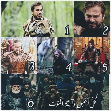 ѕнαнzαιв, There is no doubt about it