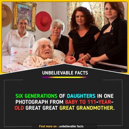 Did You Know