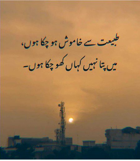 like lines