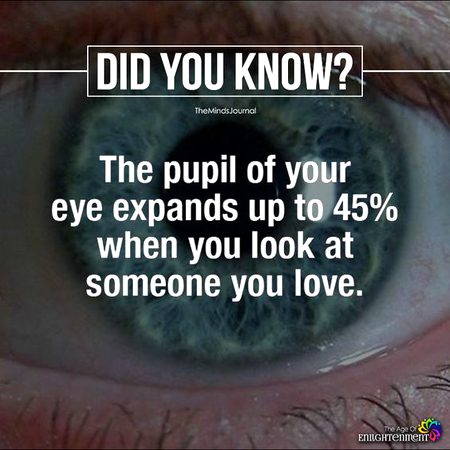 Did you Know