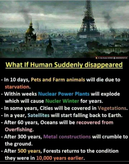 If human disappear suddenly 👻