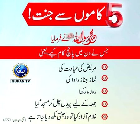 Islamic Quotes image