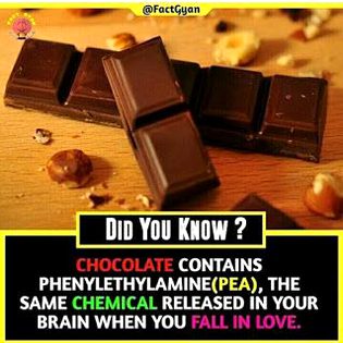 Did you Know