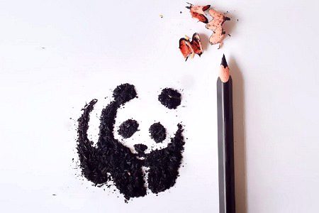 Pencil shaving Creative Art