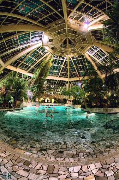 Green house dome😍