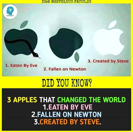 Did you Know
