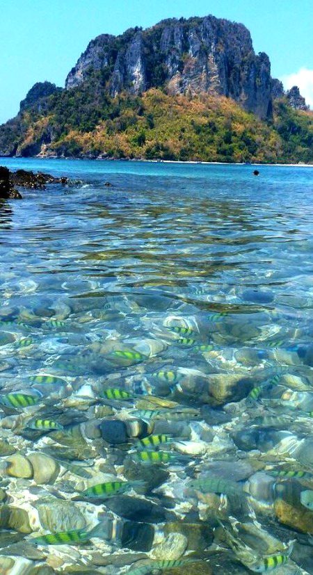 koh phi pho lake Tailand