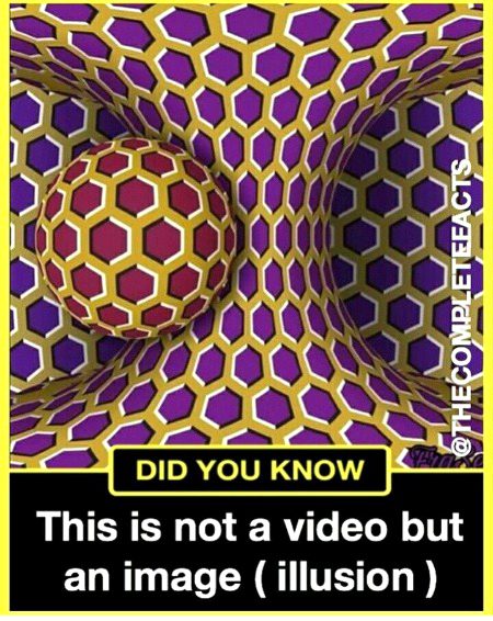 An Image Illusion