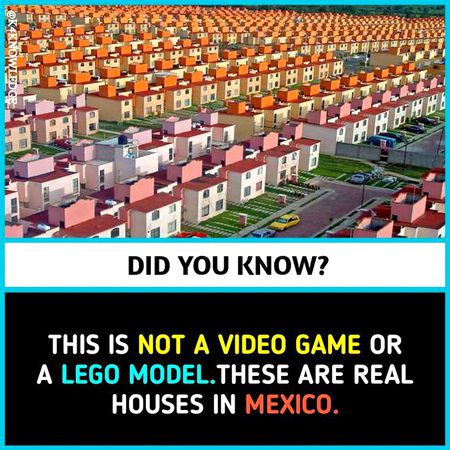 Did you Know