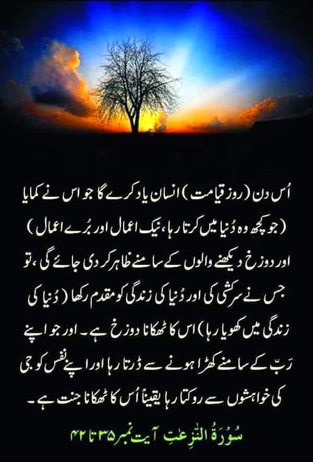 Islamic Quotes image