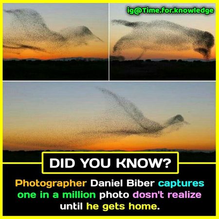 Did you Know