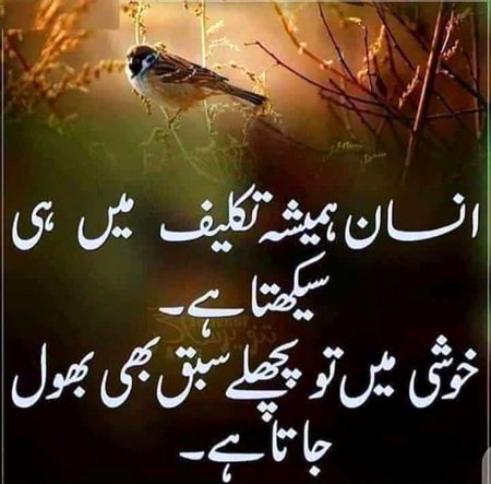 🖤Syed Zada🔥