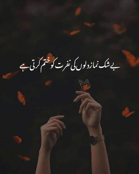 💖💖💖💞💞💞💖💖💖