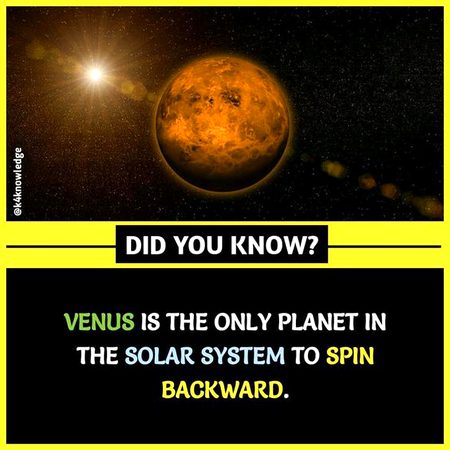 Did You Know